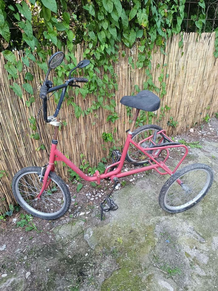 Tricycle pour enfant/ado