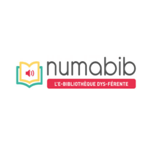 NumaBib, une e-bibliothèque Dys-férente